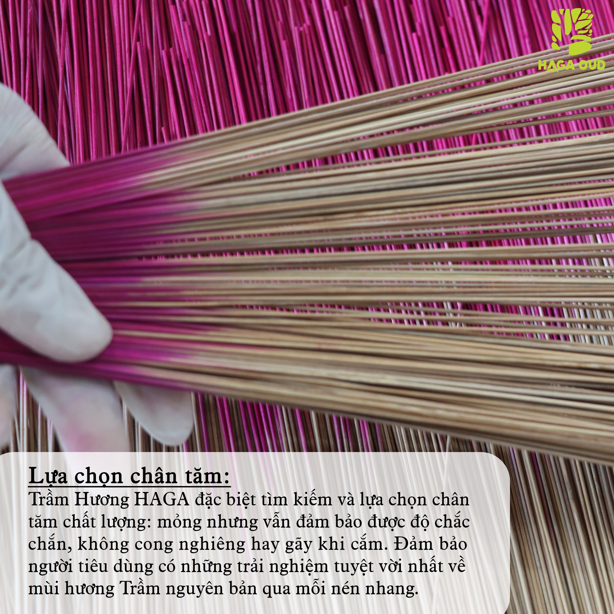 Quy trình sản xuất nhang sạch "từ tâm" cho ra những nén Nhang Trầm thơm nguyên bản, chuẩn xuất khẩu tại Trầm Hương HAGA