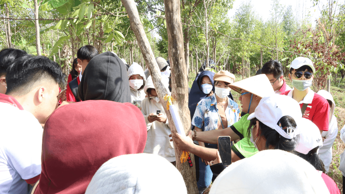Bảo vệ môi trường và quy tắc khai thác của nhà sản xuất Trầm Hương HAGA